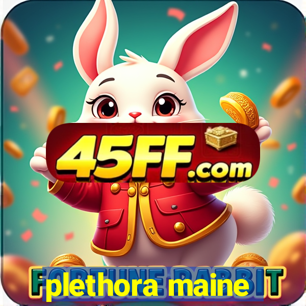 plethora maine